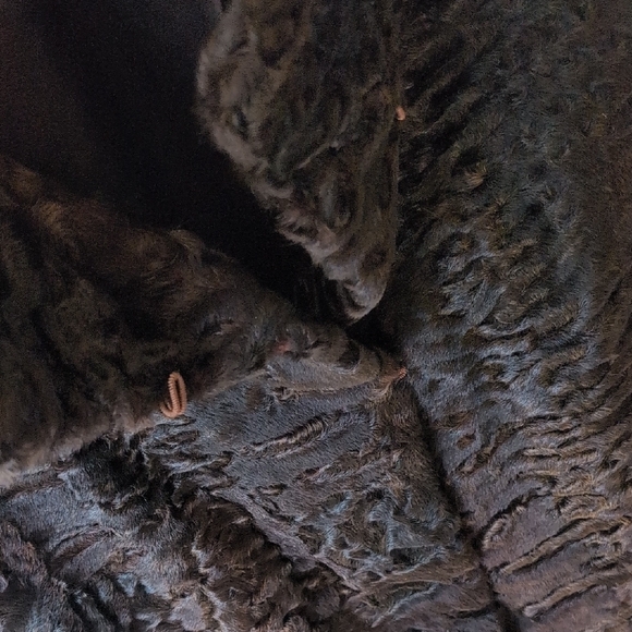 Bisang (Neiman Marcus) Chocolate Brown Coat - Picture 5 of 8